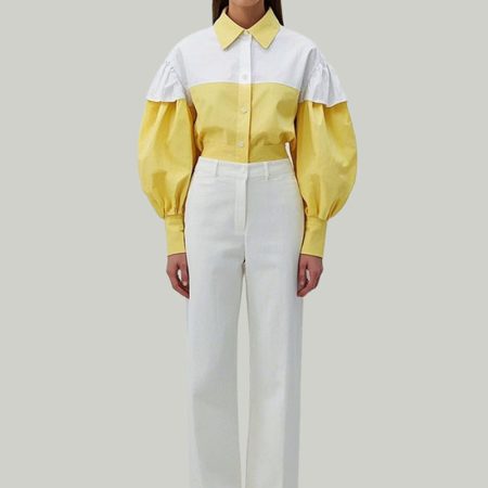 women-shirt-classic-long-sleeve-tops-blouse